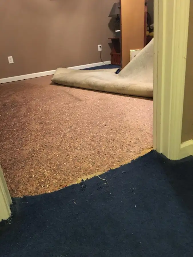 Carpet pad removal revealing water damage during Water Mitigation Services in Allamuchy