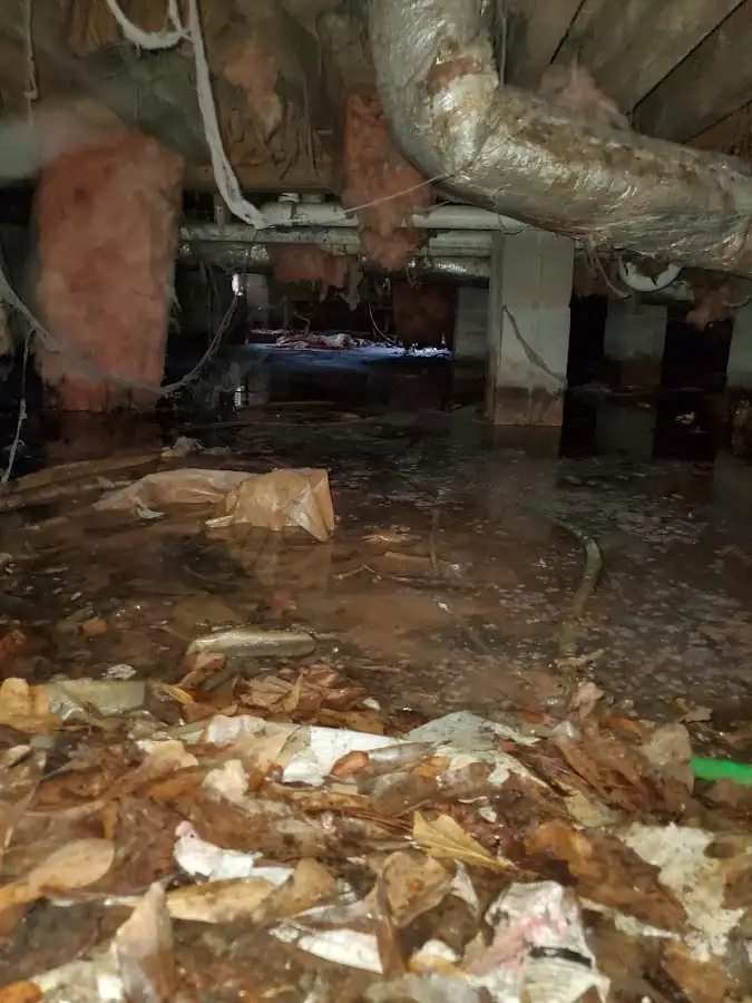 Crawl space flood assessment for Leak Detection & Repair in Allamuchy
